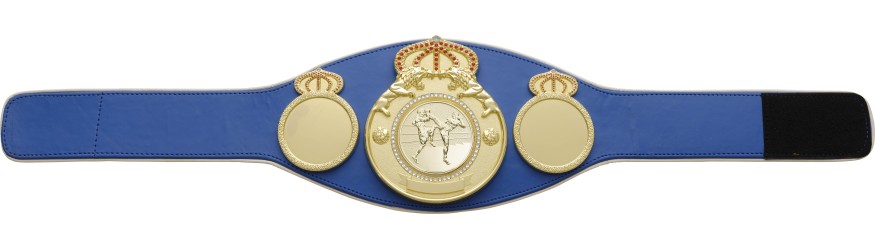 THAI BOXING CHAMPIONSHIP BELT PROLION/G/TBOG - AVAILABLE IN 6+ COLOURS THAI BOXING CHAMPIONSHIP BELT PROLION/G/TBOG - AVAILABLE IN 6+ COLOURS